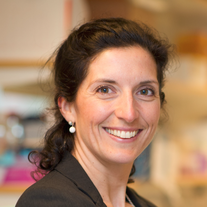 Skärmavbild 2026-03-30 kl. 10.28.26